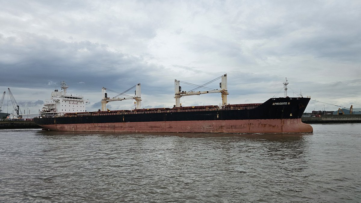 Dan Cross tweet media