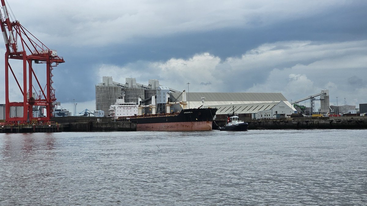 Dan Cross tweet media