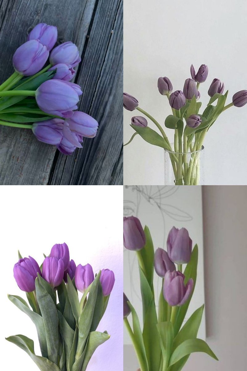 nothingmoment_'s tweet photo. Purple tulips https://t.co/XELjzElmQn