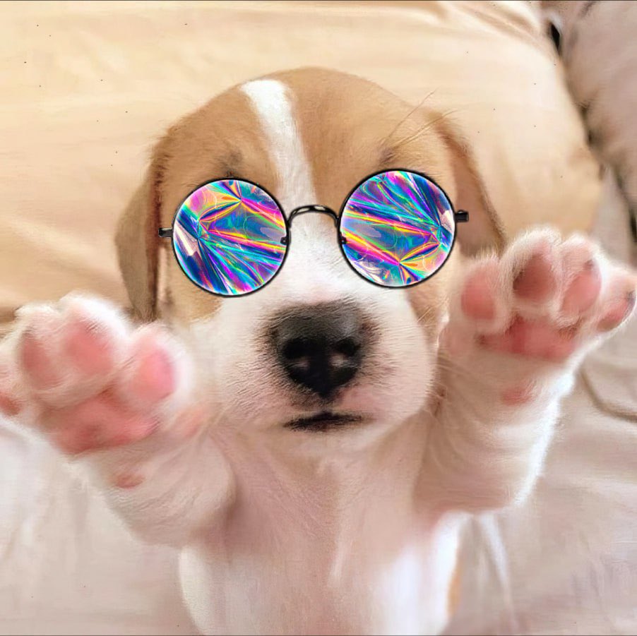 <a href="/justinwrites/">Justin</a> $Gibby says what up g