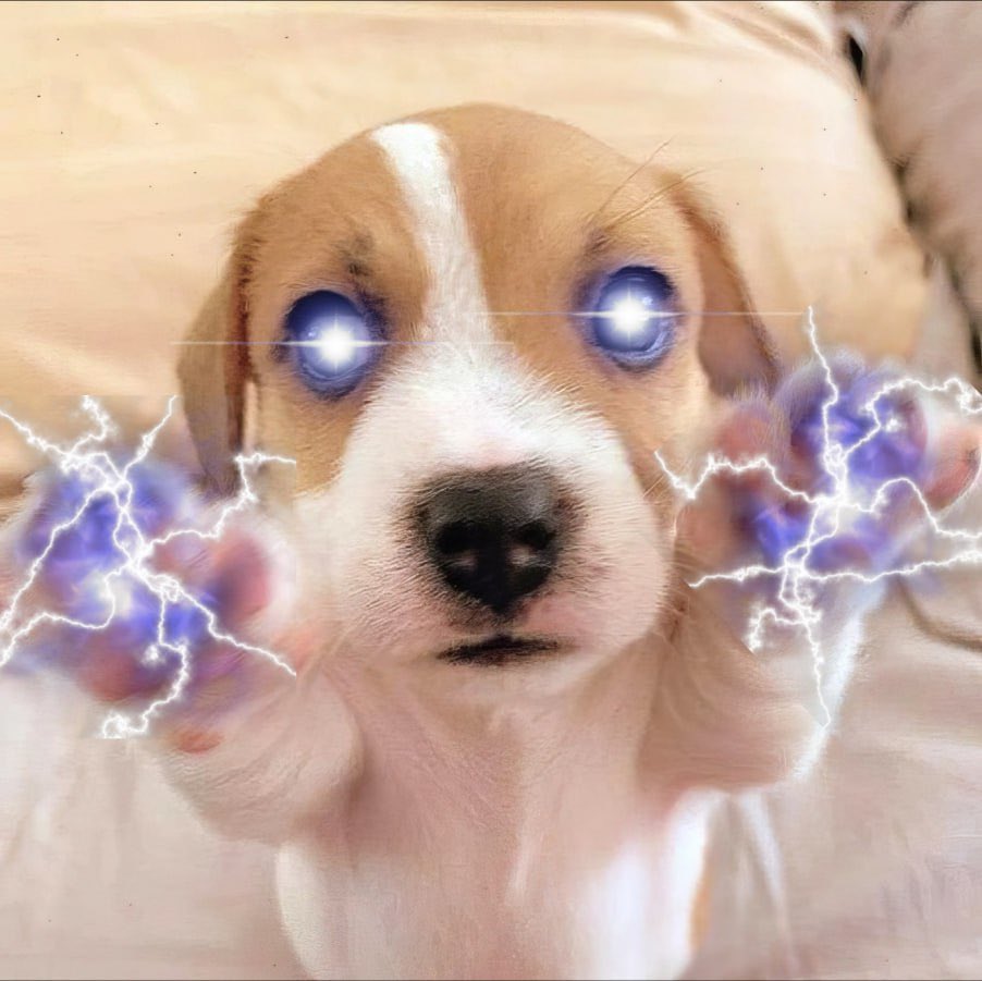 <a href="/patty_fi/">PattyIce</a> Bought more $gibby
The true alpha