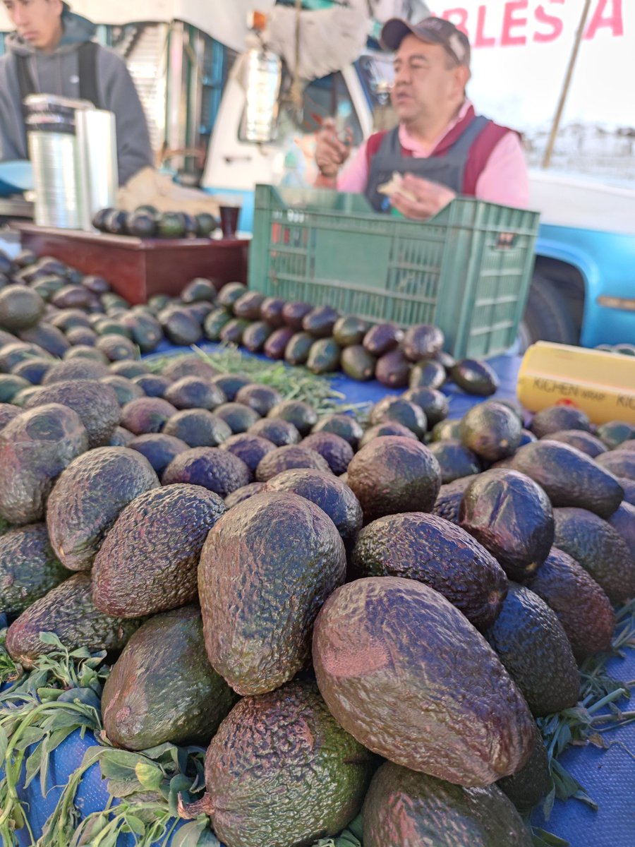 Jnlomeli's tweet photo. 1. ¿Por qué pagamos tan caro el aguacate en Jalisco? 🥑

📸 En enero visité un tianguis en Hidalgo y tomé la fotografía de una pila de aguacates Hass a 25 pesos el kilo. Entonces me pregunté:

(Abro 🧵)