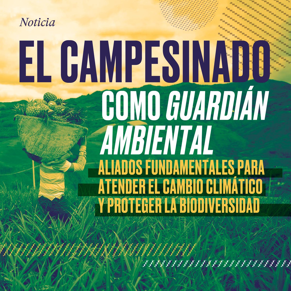 (1/7) | Para proteger territorios biodiversos, ¿quiénes mejor que aquellas comunidades que los habitan? 

Se acerca la #COP16 sobre biodiversidad en Cali. En este hilo te contamos por qué es importante la participación del campesinado y entender su rol como guardián ambiental. 🧵
