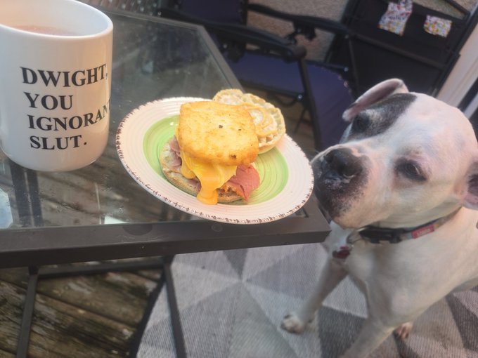 Goooodmorning you beautiful pervs https://t.co/1m7nFDEi3q<a href="/tag/ama"class="tags"><span>#ama</span></a>