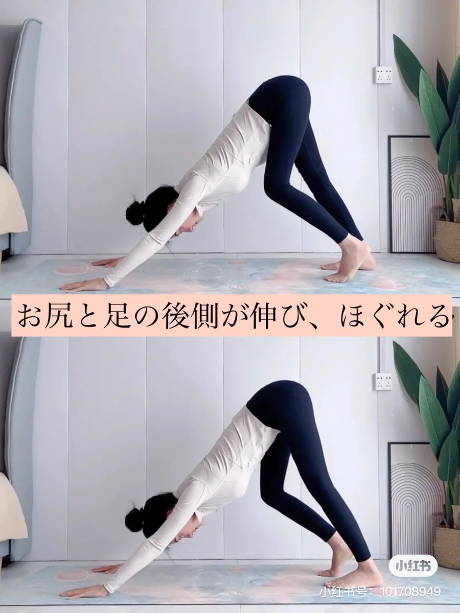 紅美女🇨🇳 tweet media