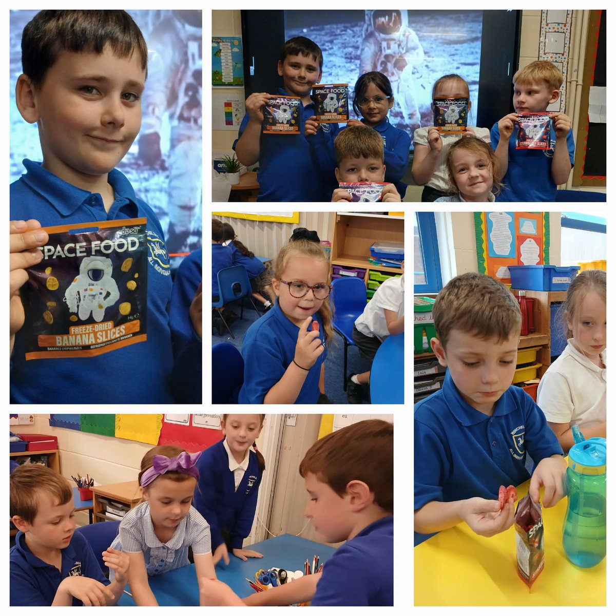 Fiona Cox Winchelsea tweet media