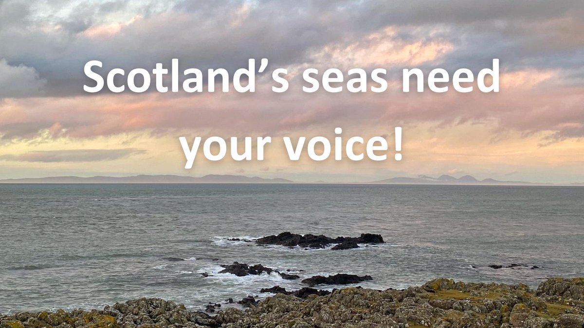 NTS Policy & Advocacy tweet media