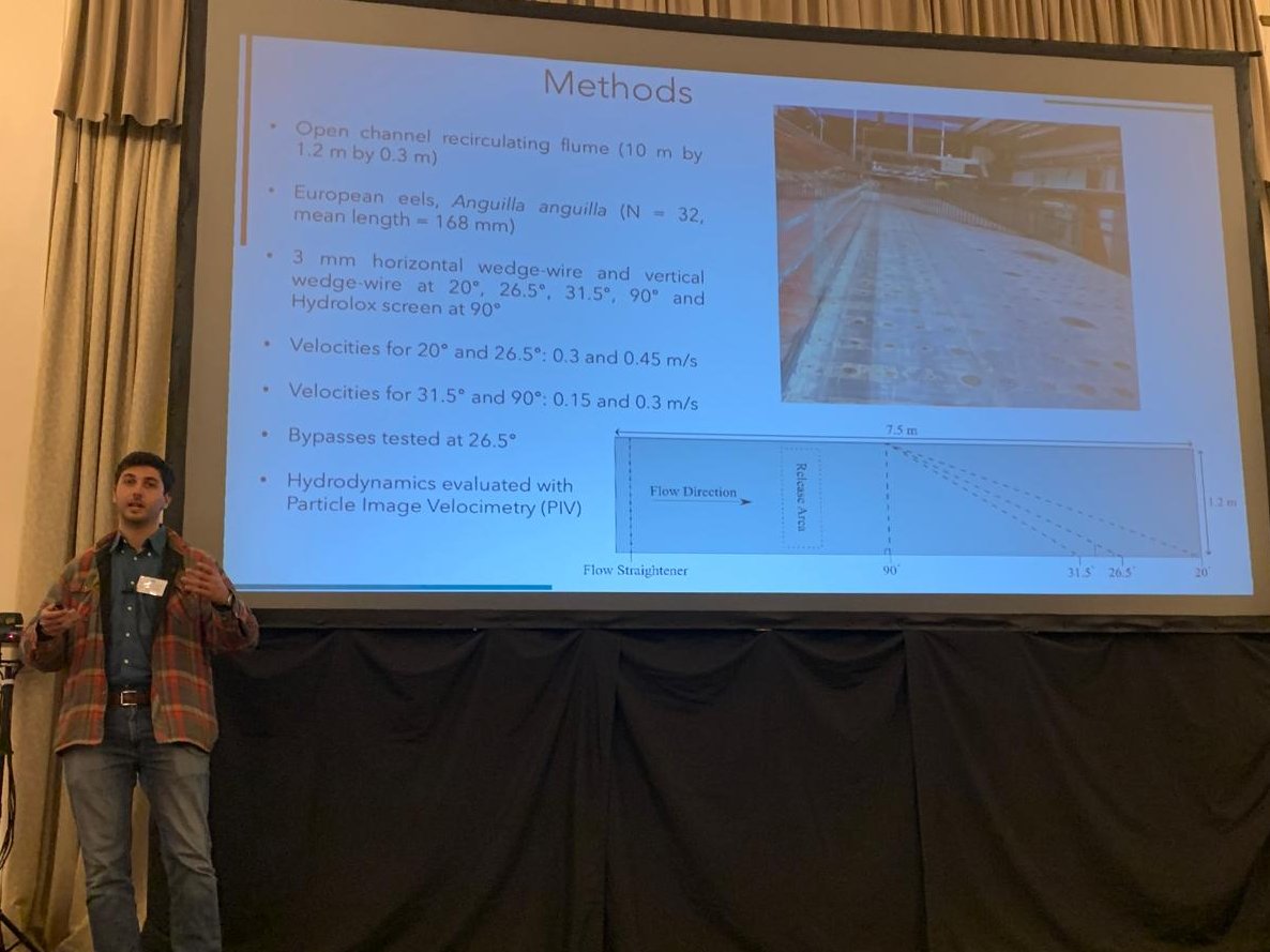 Guglielmo Sonnino Sorisio (@sonnino_sorisio) on Twitter photo Had a great time at the 2nd International Eel Science Symposium! Thank you for having me <a href="/IFMFish/">Institute of Fisheries Management</a>!
#eels24 Had a great time at the 2nd International Eel Science Symposium! Thank you for having me <a href="/IFMFish/">Institute of Fisheries Management</a>!
#eels24
