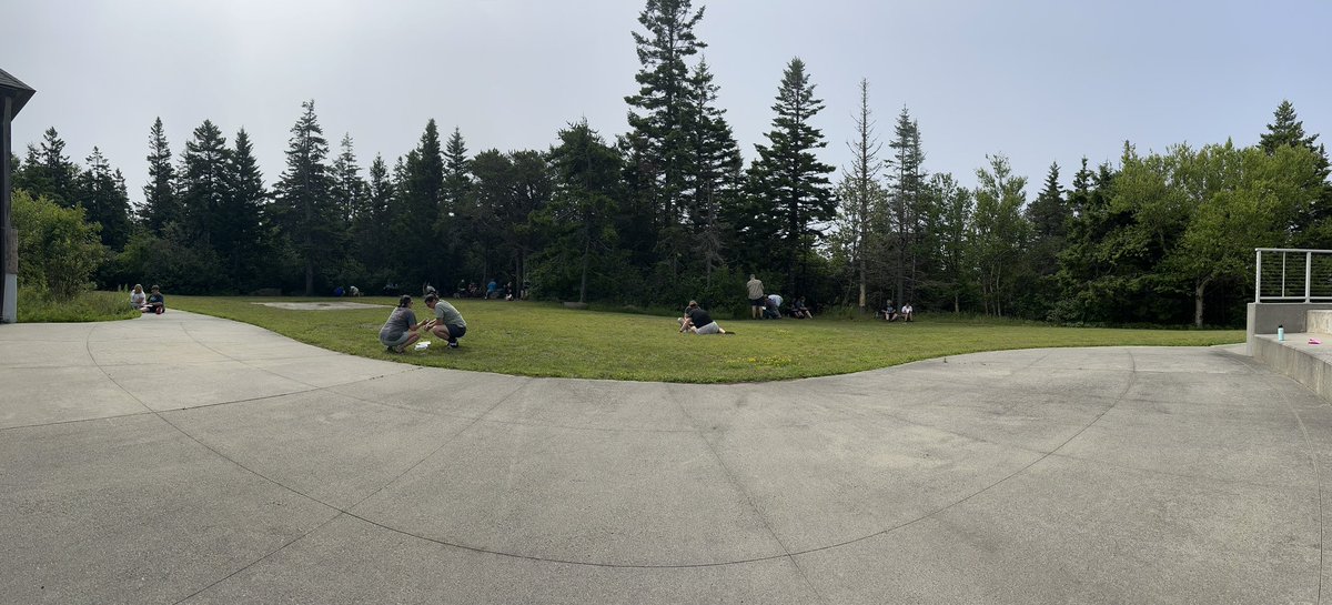 Rodney Crouse 🏳️‍🌈 tweet media