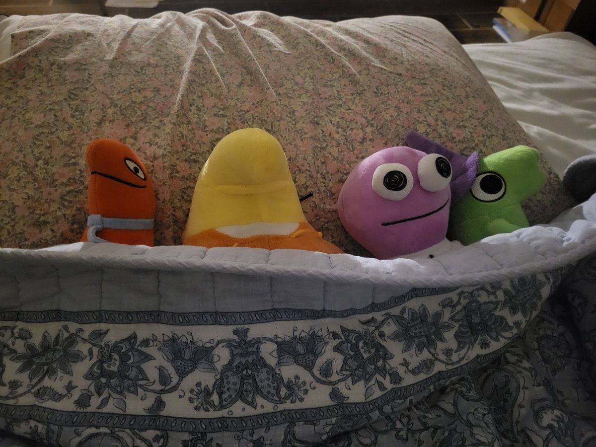 Kiiko_miko's tweet photo. Snug as bugs in rugs https://t.co/D3eApctdgS