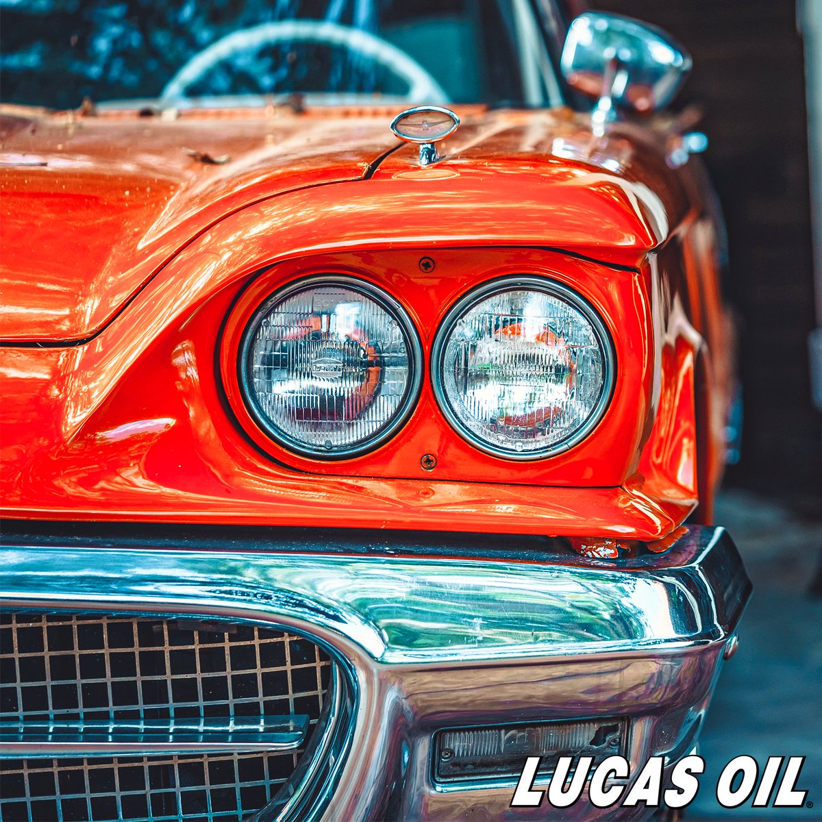 Lucas_Oil's tweet image. ✨ Celebrate the classics on Collector Car Appreciation Day! 

🚘 From engine preservation to enhanced performance, let us help to keep your vintage vehicles in pristine condition! 🔥

#LucasOil #CollectorCars #ClassicCars