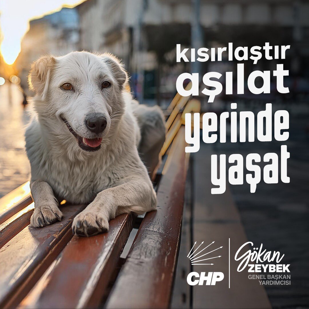 Sahipsiz sokak hayvanlarına yönelik düzenlemeler içeren Hayvanları Koruma Kanunu'nda Değişiklik Yapılmasına Dair Kanun Teklifi’ndeki “Ötanazi” uygulamasını kabul etmiyoruz. 

Birinci olarak; bu kanun teklifiyle birlikte sokak hayvanlarının öldürülmesinin de önü açılmaktadır.