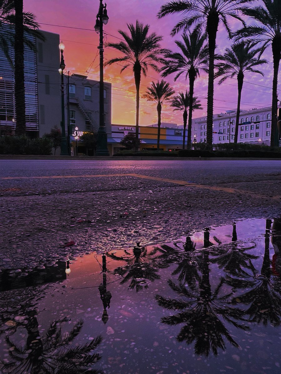 DavidMora's tweet photo. Puddle pics are my favorite. 💜🩷🧡💛

#CanalStreet #NewOrleans https://t.co/Ns7MoNprMA