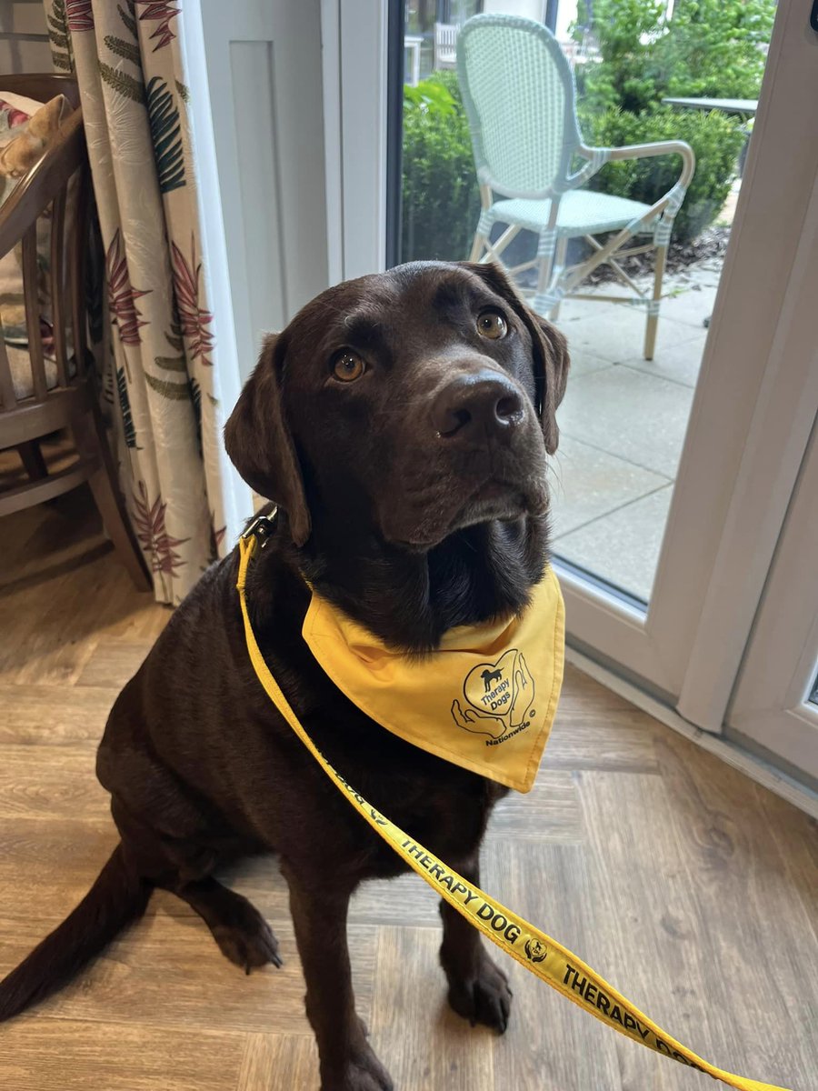 QuantumCareLtd's tweet photo. Yesterday, residents at Mantles Court care home, enjoyed a visit from the gorgeous Pets At Therapy dog, Maximus. Maximus was an immediate hit with the residents and put smiles on lots of faces! 🐶

#QuantumCare #MantlesCourt https://t.co/jNNgoa5UJz