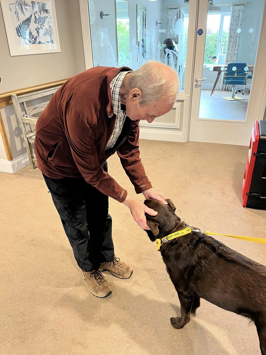 QuantumCareLtd's tweet photo. Yesterday, residents at Mantles Court care home, enjoyed a visit from the gorgeous Pets At Therapy dog, Maximus. Maximus was an immediate hit with the residents and put smiles on lots of faces! 🐶

#QuantumCare #MantlesCourt https://t.co/jNNgoa5UJz