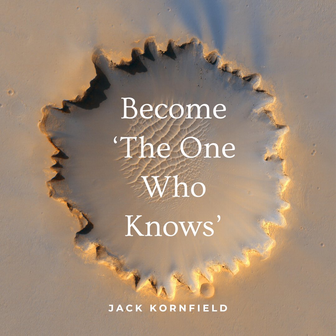 JackKornfield's tweet photo. Pay attention to the movie in your life. Sometimes you get caught in the plot. But remember, you are also the audience. Take a breath. Look around. Become a loving witness to it all, the spacious awareness, the One Who Knows.

#onewhoknows #ajahnchah #jackkornfield #consiousness https://t.co/SOZtpvdka2