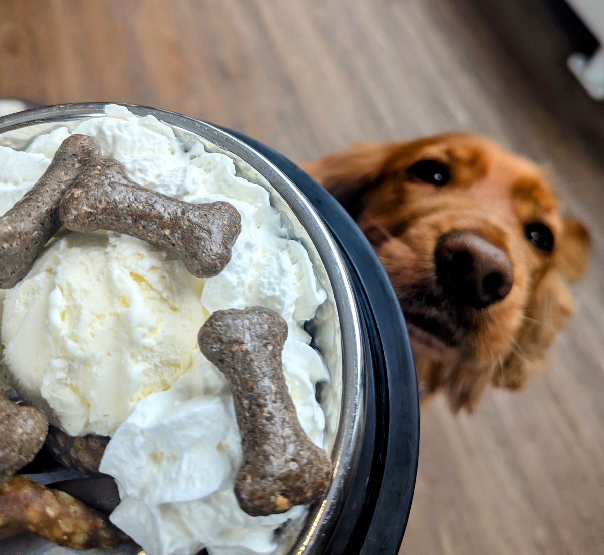 Rachel Conn tweet media