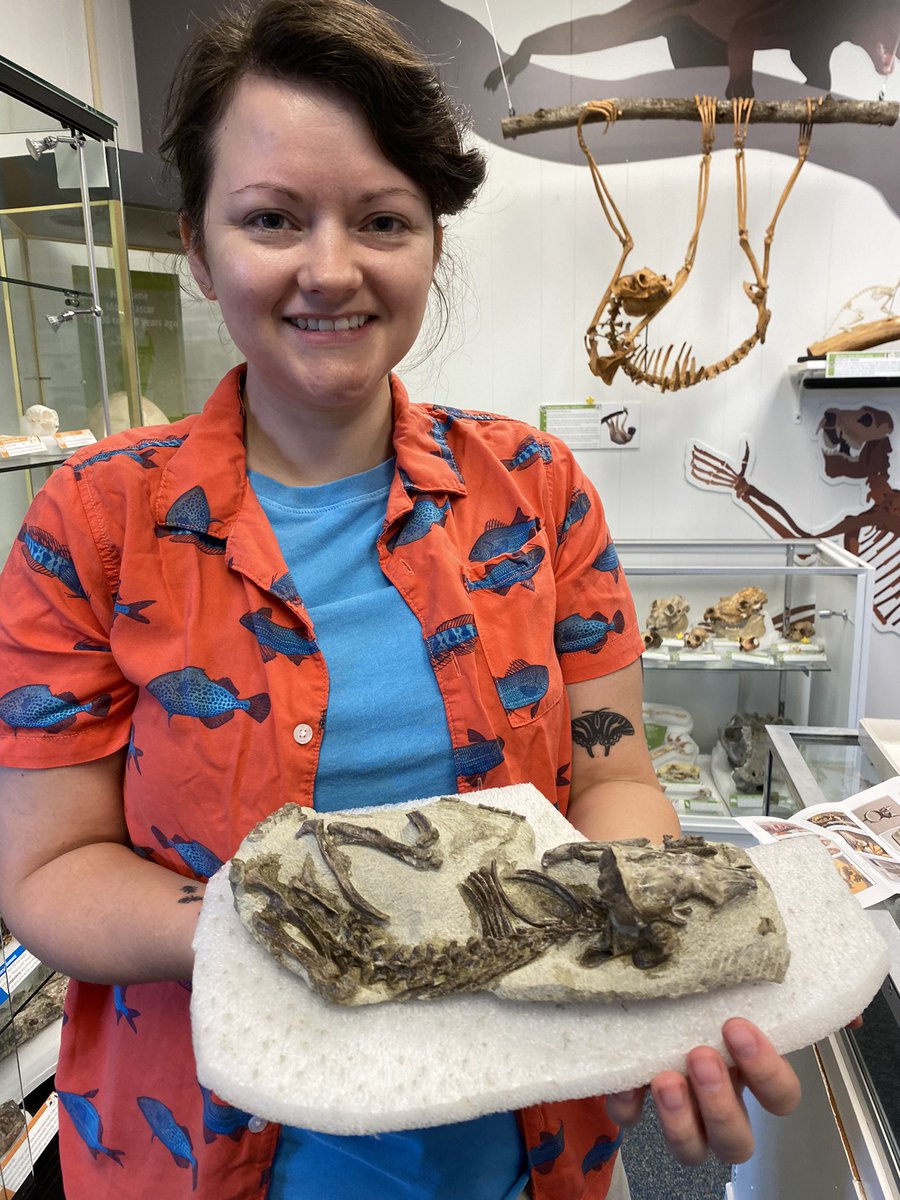 Matthew Borths tweet media