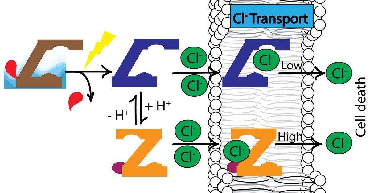 DM Research Group at IITG tweet media