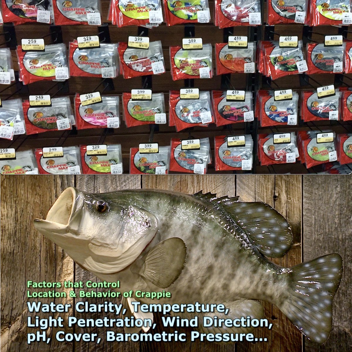 Bill_Dance1's tweet photo. This week we'll highlight America's favorite panfish, the #crappie in an episode we call "Slip Slidin' Away". Saturday at 1:00pm and Sunday at 4:00 & 7:00am. All times Eastern on Outdoor Channel. See ya then,...Bill
#fishing #billdance #panfish #thill https://t.co/zllxFYLyXS