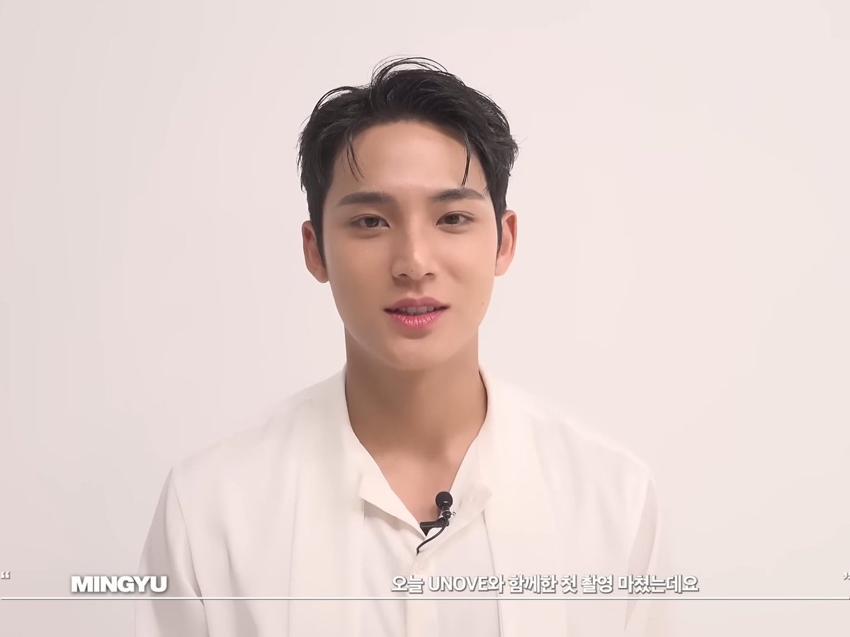 mingyu pics tweet media