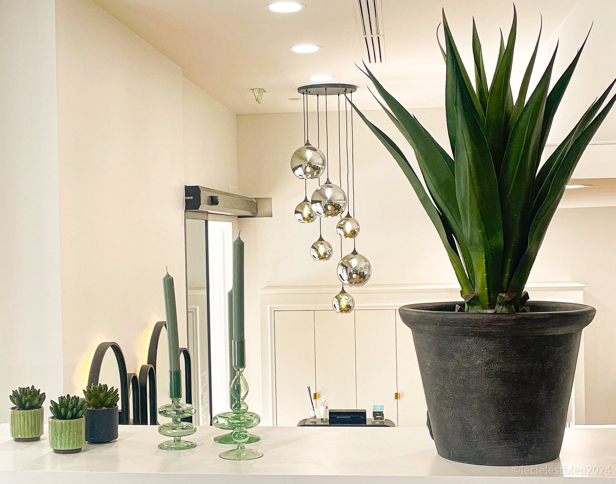 Petra_C_M_P's tweet image. Szenenwechsel. 
Die Pfoten meinten, ich sollte auch mal zum Trimmen.💇🏼‍♀️
Und was die Pfoten meinen, gilt. 💆🏼‍♀️
Bis denne, Welt.
#Provost #Bergerac