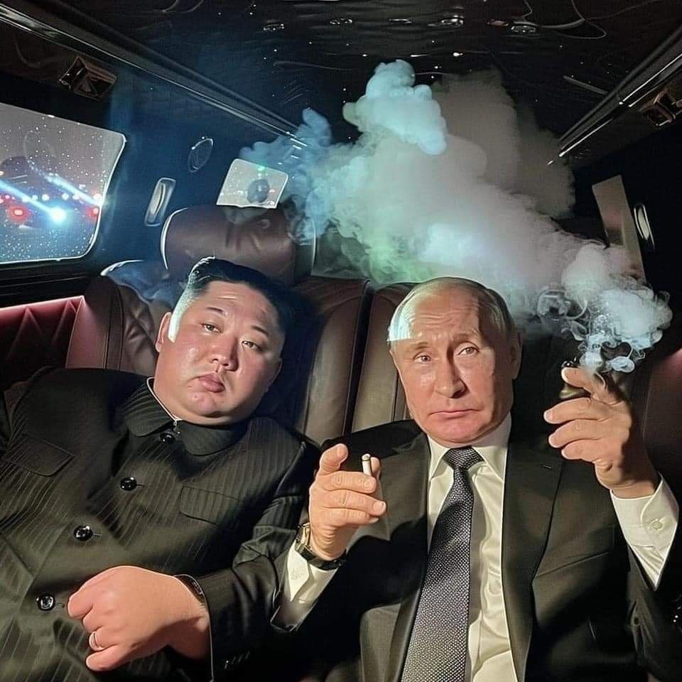 fiveplusad46507's tweet photo. @CactusBraph @JakeGagain @Kimwifputin #KIMwifPUTIN bro

#memecoin #solana #1000x gem https://t.co/bnJJnQbuii