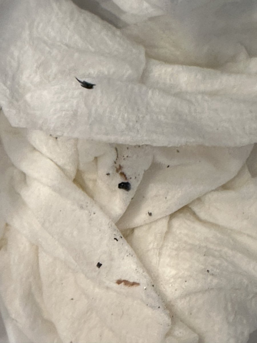 JennyFloras's tweet photo. @KitchenAid_CA You forgot option e) no metallic pieces in my cakes. Bc that’s what you get when you purchase a Kitchenaid oven. Whirlpool leaves metal burrs/metallic flakes and plastic pieces in your oven for you to consume and will ignore you if discovered. https://t.co/i8Xyk9ee2n