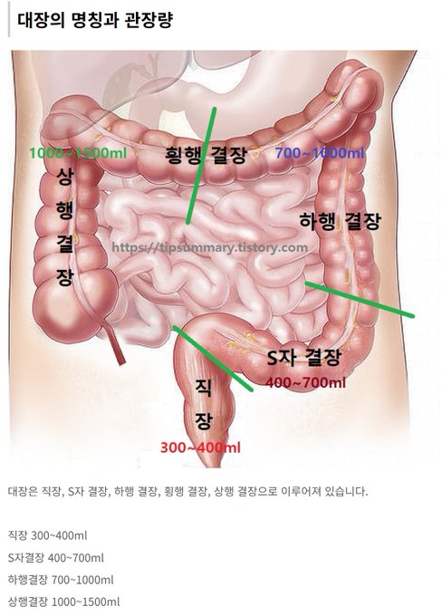 변이 몸속에 오래 머무르면 독소가 돼서  건강에 안좋은 영향을 줍니다.  제경험상 관장을 한후 몸도 가벼워지는 느낌이고. 컨디션도 많이 올라가는 거 같아요.  일주일에 1~2회 정도