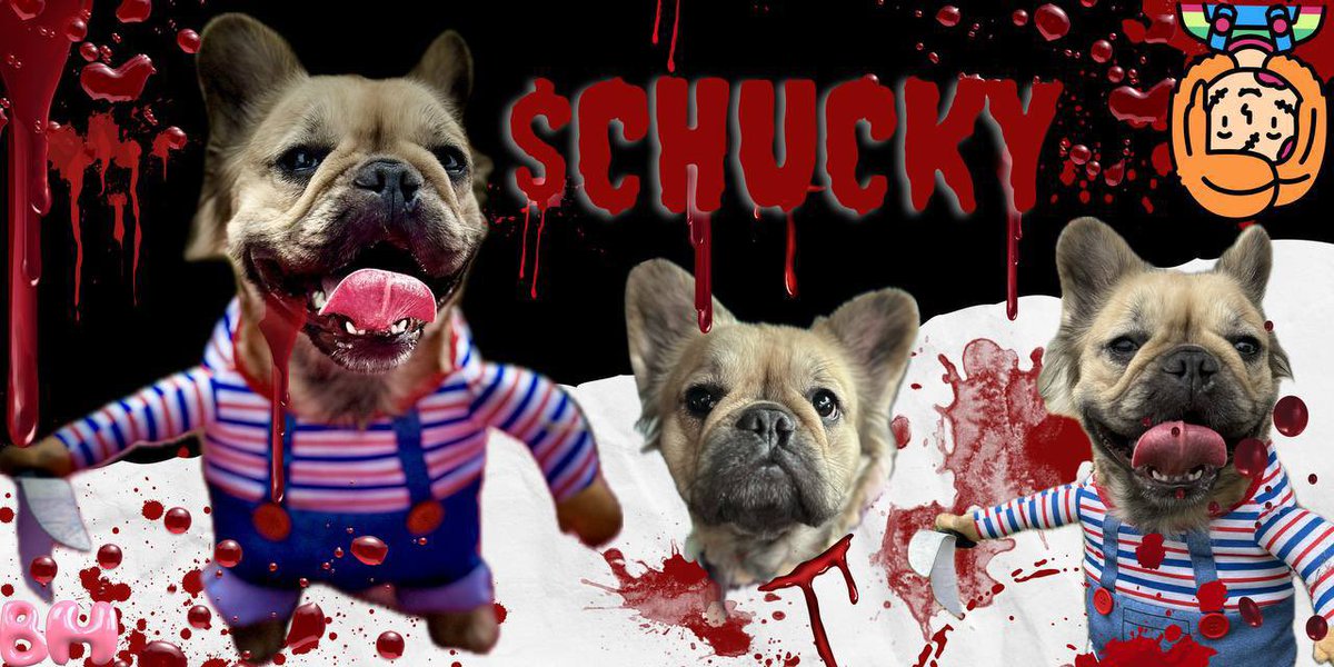 oli4hg's tweet photo. LFG!!! Make it back with $CHUCKY, if you dare… 🔪🩸

The ticker is $CHUCKY 💲 
The dev is doxxed ✅ 
The meme is dev’s real dog 🐶  
The community is strong 💪🏼  
The fud cabal attacked us ❌ 
The ride will be bloody 🩸  

The ca is hfgp8bnL4WN4ifkfAPPM9RTKAsXbMzsdSc3aoFypump 
@CHUCKYDT1