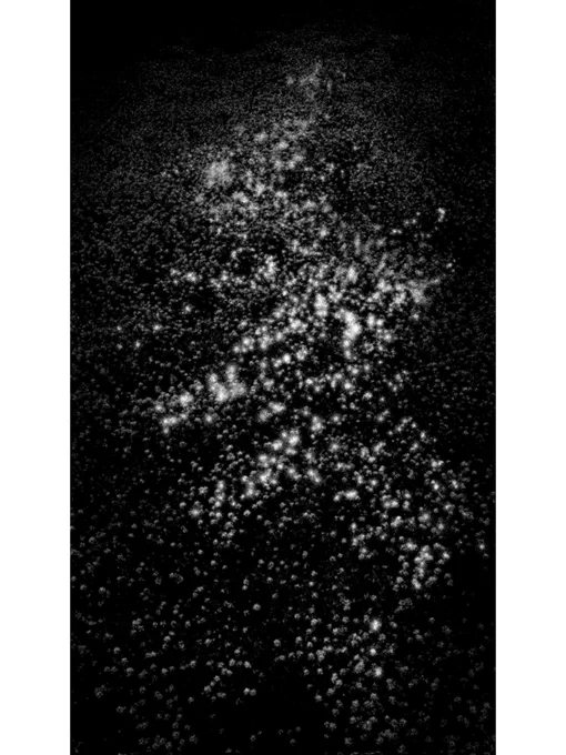 いのちは光になって ながれ つながり 空にかえる