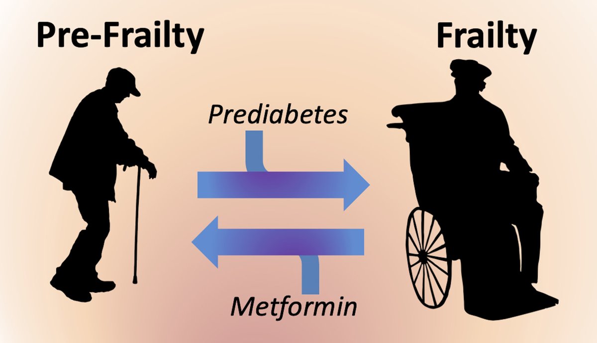 Hypertension (@hyperaha) on Twitter photo ON THE COVER: #Prediabetes increases the risk of #frailty and #metformin has beneficial effects in mitigating frailty in elderly patients <a href="/EinsteinMed/">Albert Einstein College of Medicine - Official</a> @UninaIT@SsJankauskas <a href="/miccic77/">Michele Ciccarelli, MD, PhD</a> <a href="/guiaccar/">guido iaccarino</a>
ahajrnls.org/3zFpxZQ ON THE COVER: #Prediabetes increases the risk of #frailty and #metformin has beneficial effects in mitigating frailty in elderly patients <a href="/EinsteinMed/">Albert Einstein College of Medicine - Official</a> @UninaIT@SsJankauskas <a href="/miccic77/">Michele Ciccarelli, MD, PhD</a> <a href="/guiaccar/">guido iaccarino</a>
ahajrnls.org/3zFpxZQ
