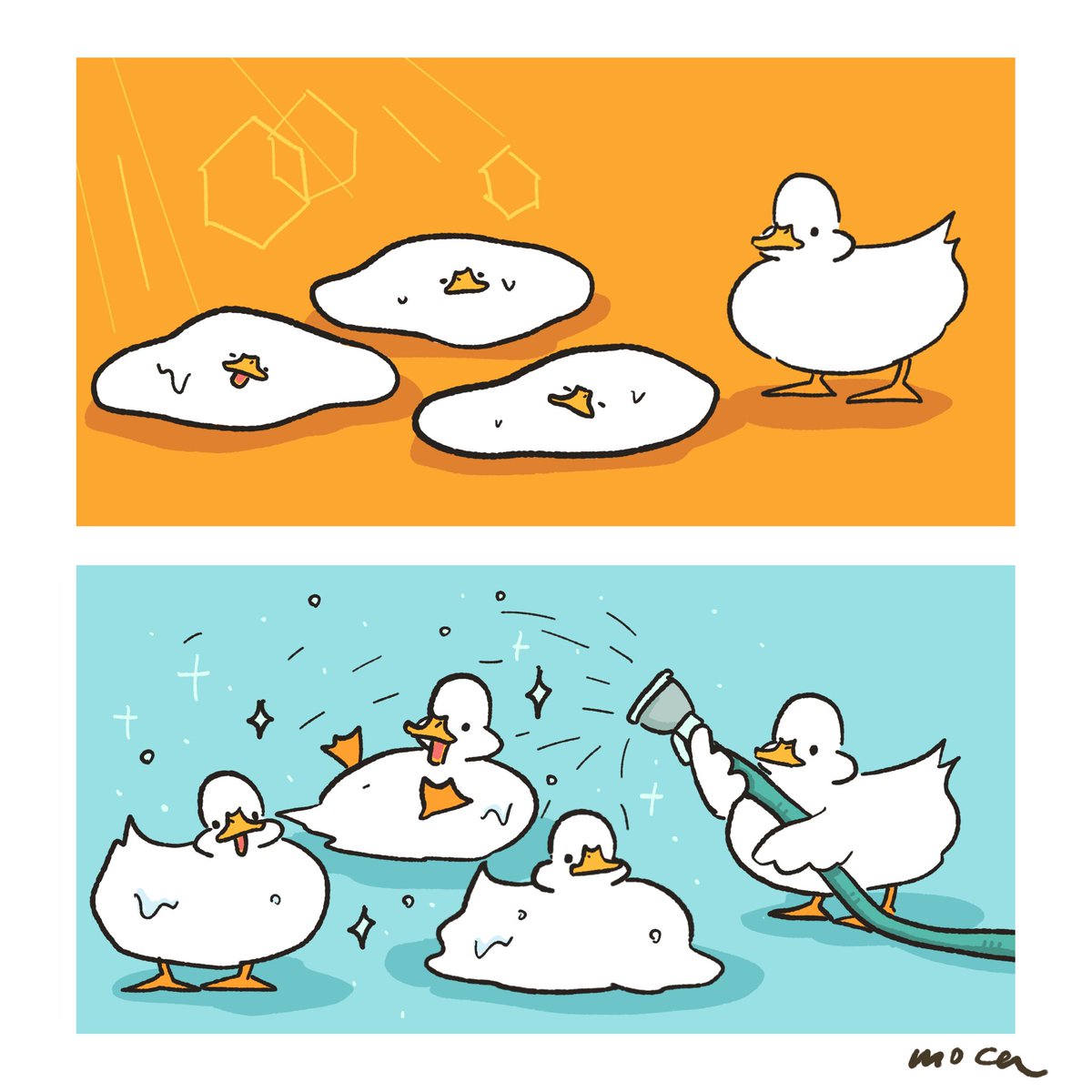 もちもちアヒル MochiMochiDucks tweet media