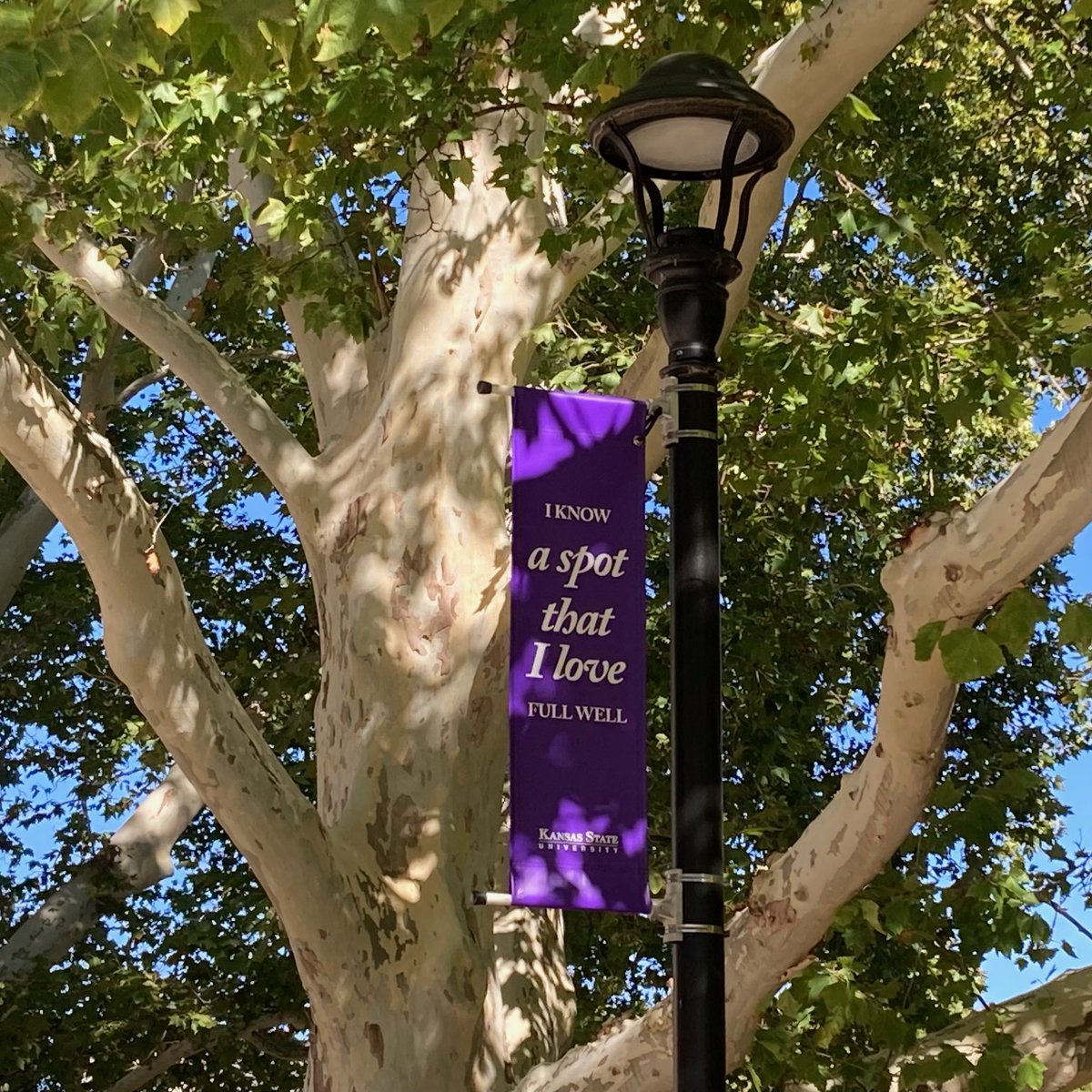 David V. Rosowsky, Ph.D. tweet media