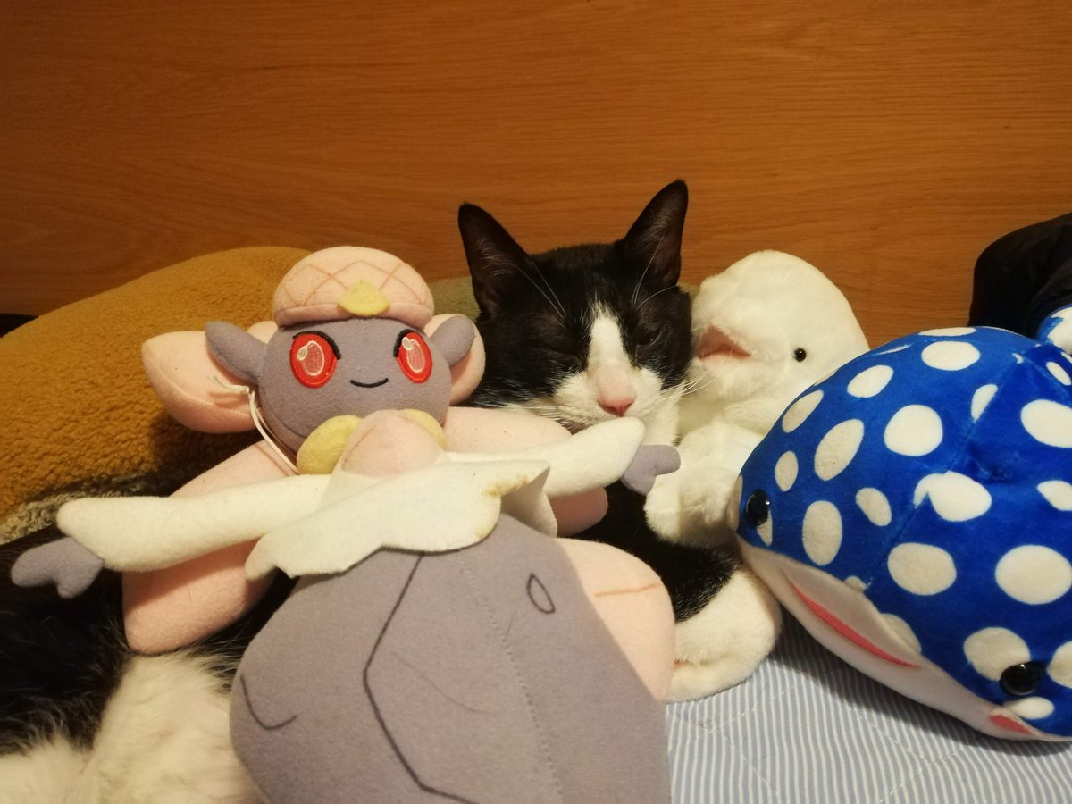 CHIIkun_cat's tweet photo. #ディアンシー
#白イルカ
#ジンベイザメ https://t.co/RWlm27wYiH
