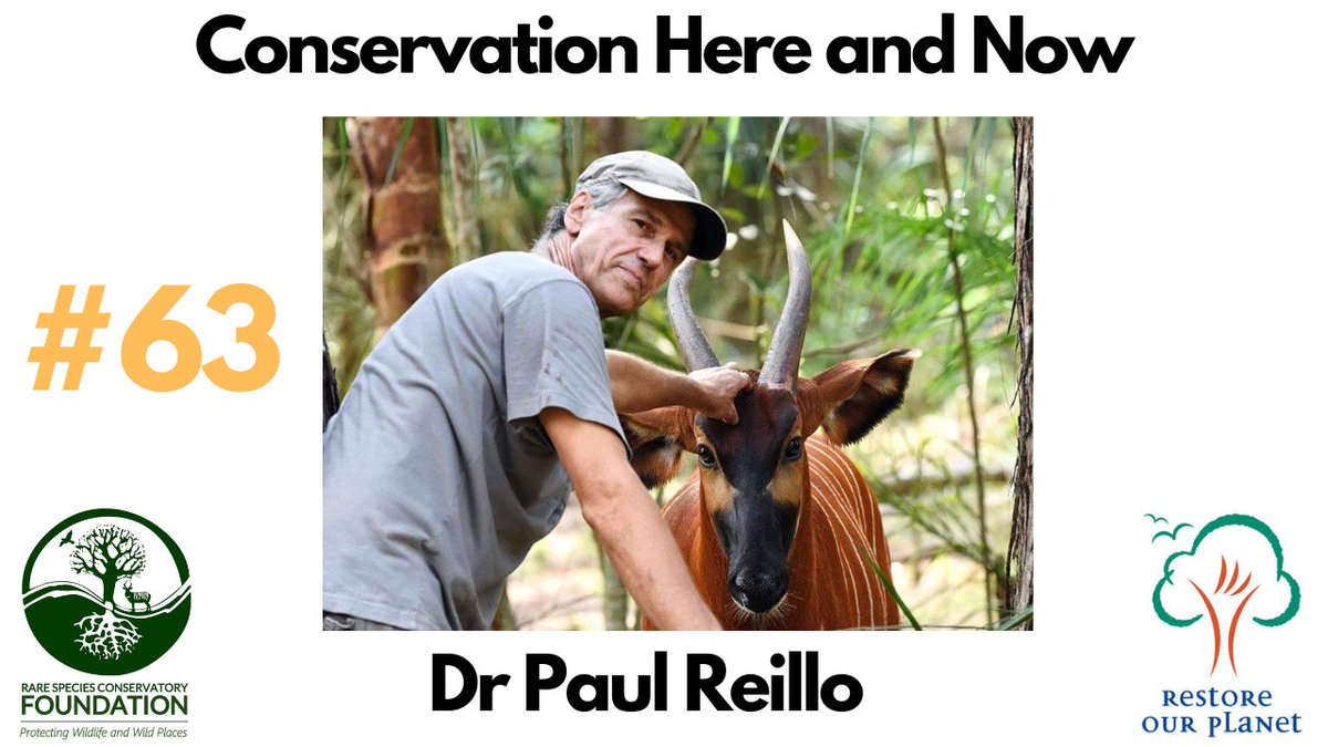 The founder of the <a href="/rscfusa/">Rare Species Conservatory Foundation</a> joins us to discuss the success of their hands-on approach to saving wildlife

Watch: lnkd.in/edzrYD2C 
Listen: lnkd.in/eW7G9F3c

#RareSpecies #RestoreOurPlanetPodcast #Antelope #Parrot #ConservationOptimism #Conservation