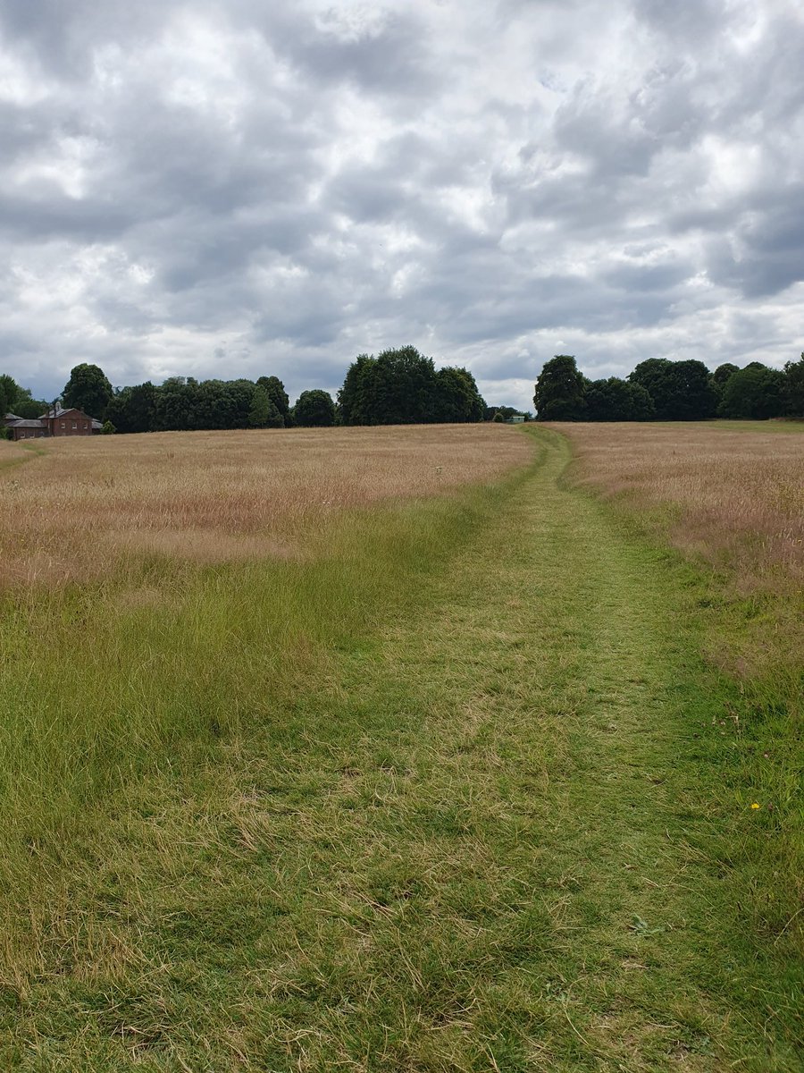 Delightful summer saunter with <a href="/briandraperuk/">Brian Draper</a> and Howard Green reflecting on all- surrounding grace <a href="/MottisfontNT/">Mottisfont</a>