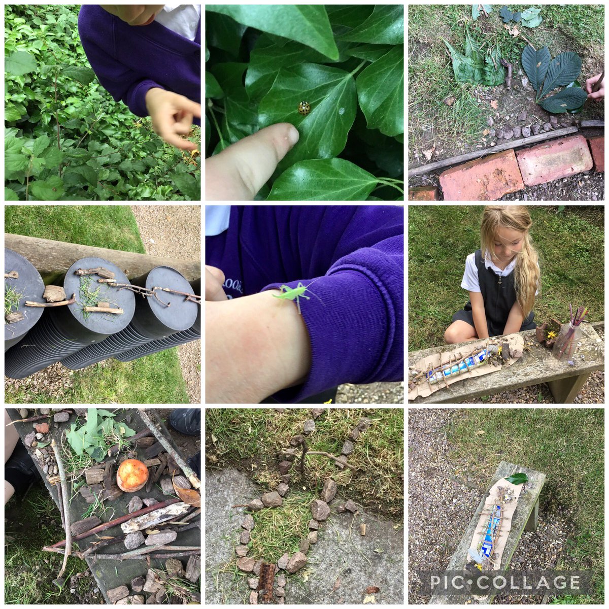 Bugbrooke_Y1/2 tweet media