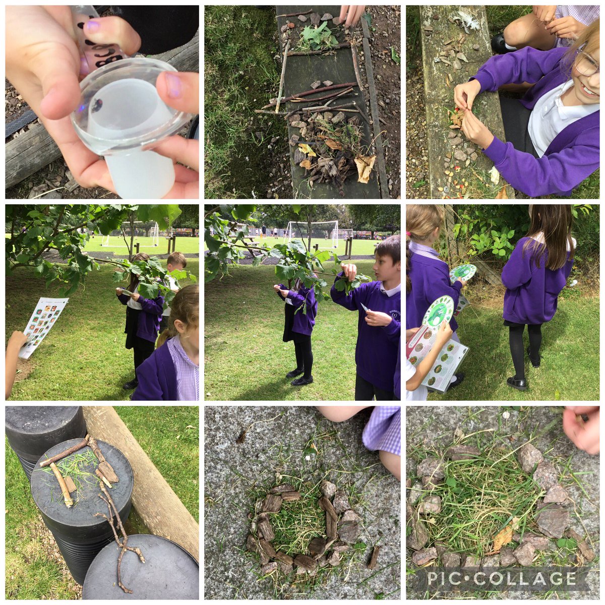 Bugbrooke_Y1/2 tweet media