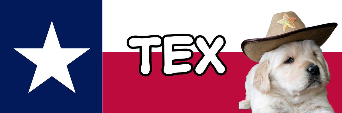 <a href="/1000xgirl/">1000xgirl</a> Yes,

Buy More $TEX while Price a little bit cheaper. Hurry!