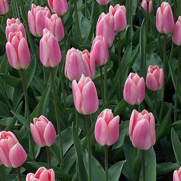 𓆩♡𓆪 (@fairyprxncess) on Twitter photo 