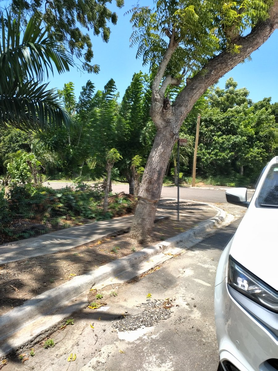 Ruben D. Alberto M. tweet media