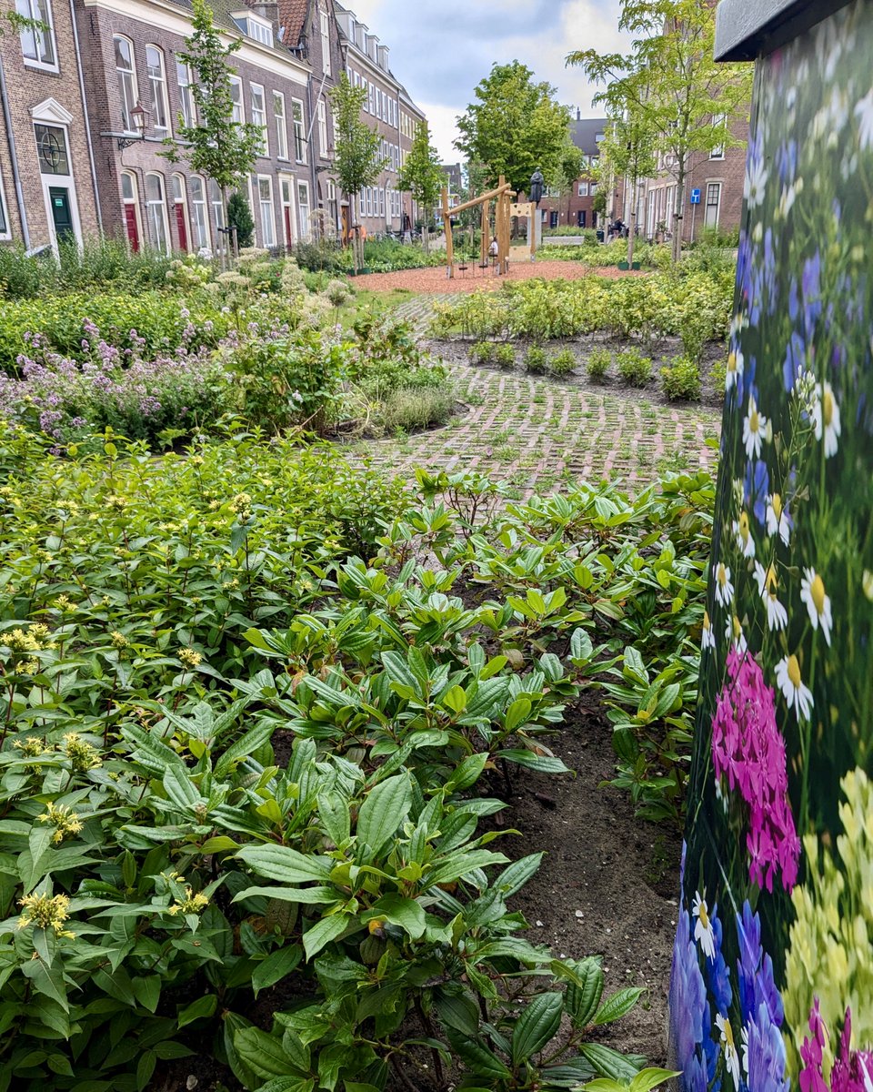 Delft is in 2040 een stuk groener én daarmee gezonder. 🌳 Dat staat in de nieuwe Groenvisie die de gemeente naar de raad heeft gestuurd. #Delft wordt een gezonde stad voor inwoners, ondernemers, bezoekers, dieren en planten. 💙 Meer weten?➡️ bit.ly/3xKqgZl