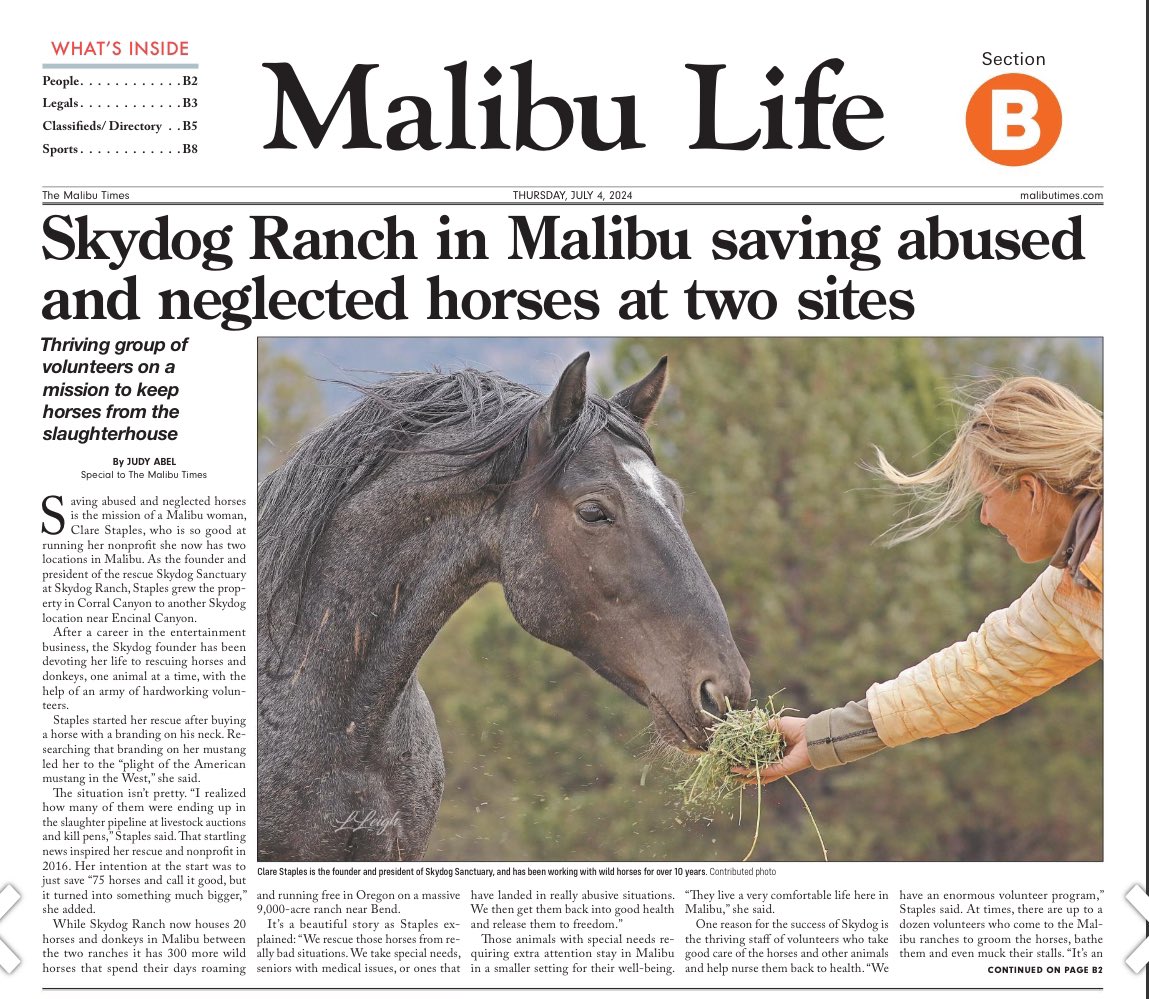 skydogsanctuary's tweet image. Love this article @TheMalibuTimes  by Judy Abel about our fantastic #sanctuary #volunteers, the lethal &amp;amp; unjustified #roundups by @BLMNational of #wildhorses &amp;amp; #wildburros, and the dangers they face in the #slaughterpipeline bit.ly/4cJ8MvG