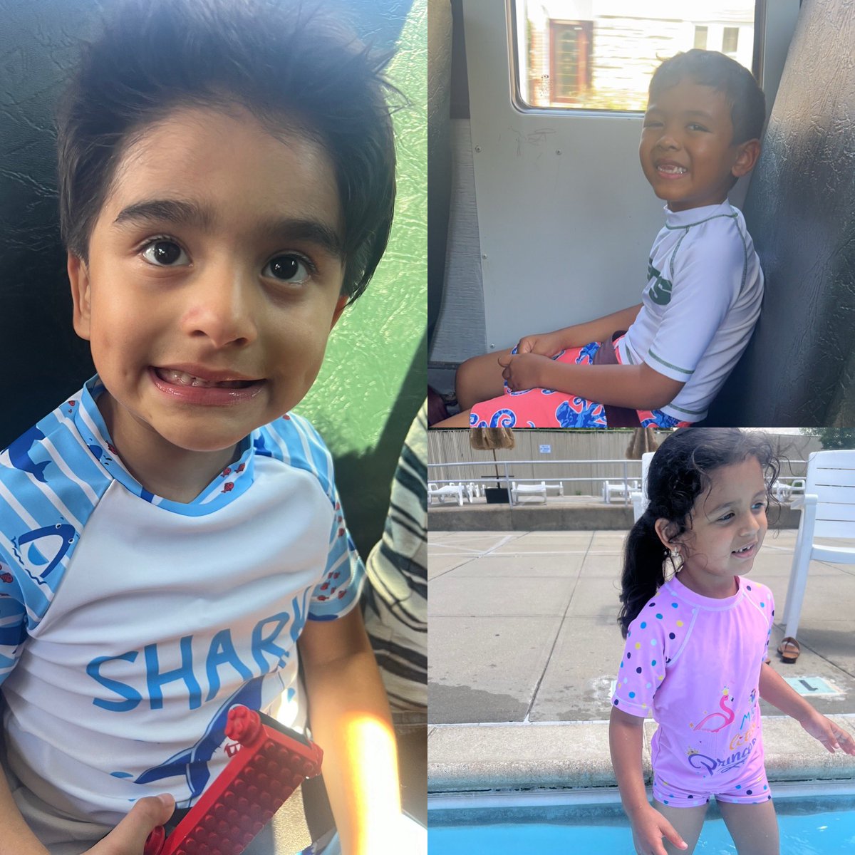 Ms.Paulik tweet media