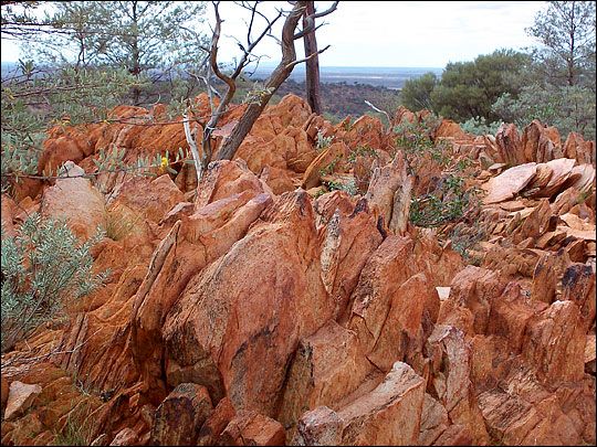 Geology_History's tweet photo. In February 2014, a zircon crystal found 13 years earlier in #Australia’s Jack Hills region made headlines. With 4.4 billion years it is the oldest known mineral on #Earth. The hosts of the @planetgeocast  discuss its fascinating history   💎🇦🇺 
 https://t.co/kV99ZXNPQC https://t.co/aGt91VnYqx