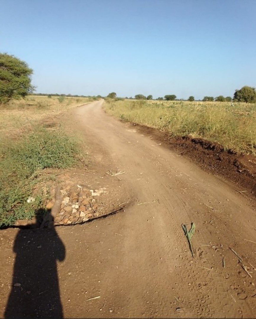 RETWEET

When we expose the looting and plunder of Zimbabwe’s public funds and the rampant corruption in President Mnangagwa's ZANUPF regime, it is also important to show the impact that this corruption causes on the poor citizens.

This is in South Chiredzi, where buses struggle