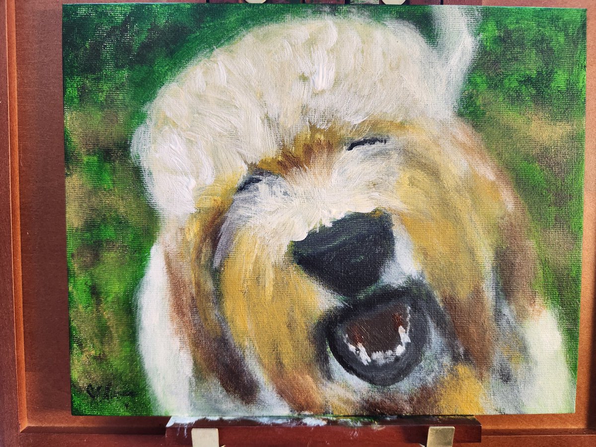 RocketJETPrints's tweet photo. A pair of portraits I did of my friend's dog. Pet portrait commissions are open - DM me for more information! #dog #petportrait #artists https://t.co/xJ6tS7RsD5