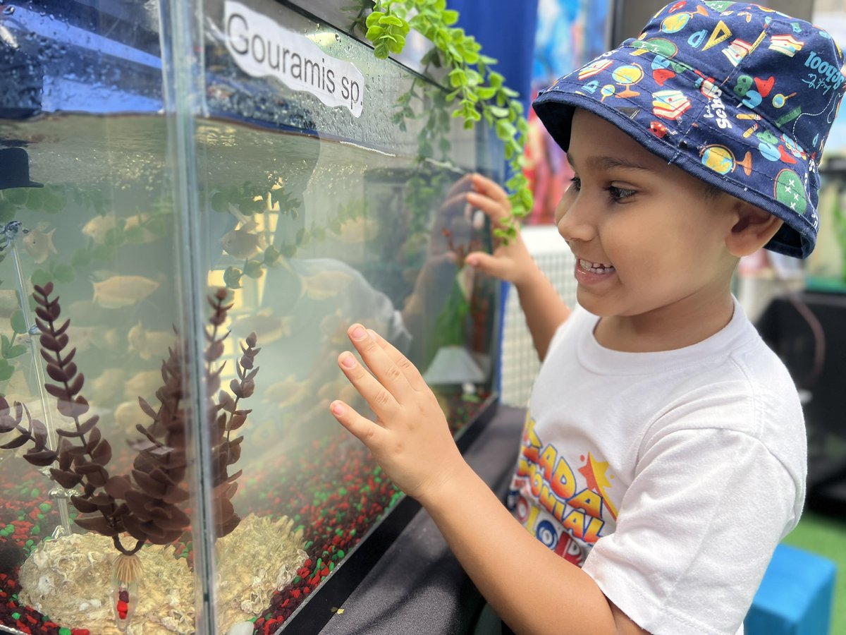 Minpescave2's tweet photo. Nuestro ente adscrito @CenipaVe 🐟 dice presente en la edición número 20 de la Filven 📚, desarrollada en los espacios de la Galería de Arte Nacional de #Caracas del 11 hasta el próximo #21JUL.

¡Te esperamos!

@NicolasMaduro
@Jcloyo
#LaPoesíaNosUne https://t.co/sDh8Ixzkp1