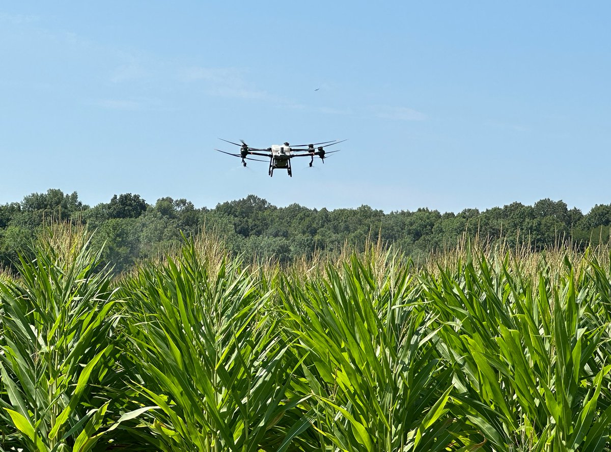 fred_e_nichols's tweet photo. Flyover feeding @AgriGold 6659 with @Huma_US nutrition &amp; crop protection products. Great job by @rantizosprays! #SouthernStud looks good top to bottom. https://t.co/db2Km9X8un